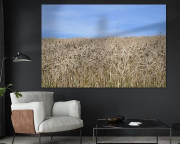 Grain field in Luxembourg by Paul van Baardwijk