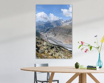 The Aletsch Glacier by Paul van Baardwijk