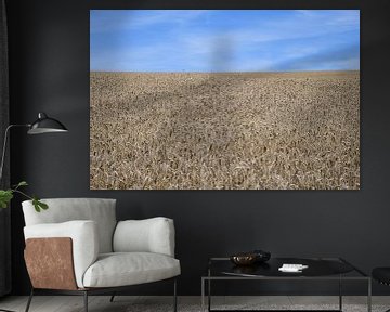 Grain field in Luxembourg by Paul van Baardwijk
