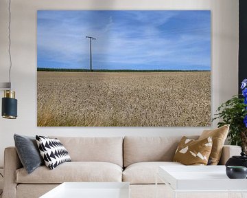 Grain field in Luxembourg by Paul van Baardwijk