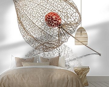 A minimalist natural still life by Marjolijn van den Berg