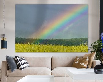 Rainbow by Sylvio Dittrich