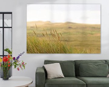 Sluftervallei duinen bij het strand van Texel van Sjoerd van der Wal Fotografie