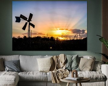 Old irrigation windmill in the Weerribben by Sjoerd van der Wal Photography