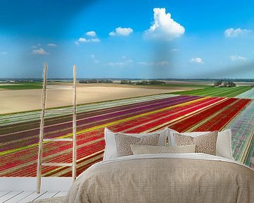Tulpen auf landwirtschaftlichen Feldern im Frühling von Sjoerd van der Wal Fotografie