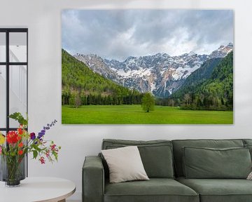 Alpen landschap vallei in de lente van Sjoerd van der Wal Fotografie