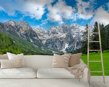 Alps valley landscape view during springtime by Sjoerd van der Wal Photography