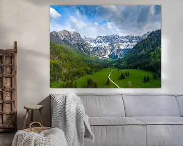 Vue aérienne de la vallée de Zgornje Jezersko au printemps sur Sjoerd van der Wal Photographie