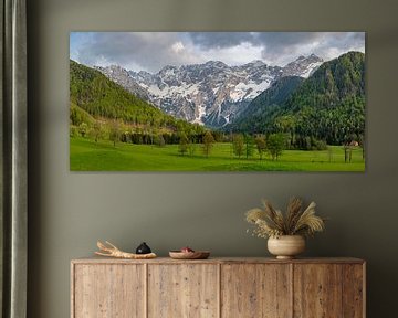 Vue du paysage de la vallée de Zgornje Jezersko au printemps sur Sjoerd van der Wal Photographie