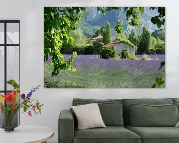 Lavender fields in France, near Saou by M. B. fotografie