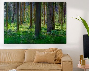Farbenfroher Wald von Frans Nijland