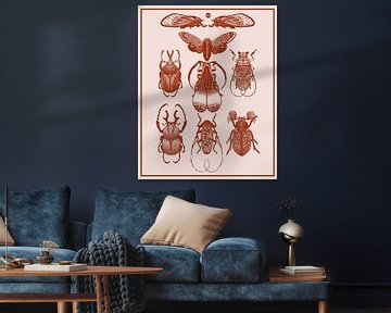 Insectes I Cabinet de curiosités sur Jansje Kamphuis