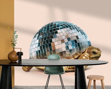 DISCO TURTLE by Dagmar Pels