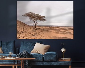 Eenzame boom in de Sahara