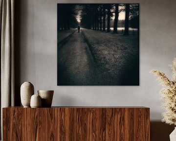 Man on the road by Frank Wijn