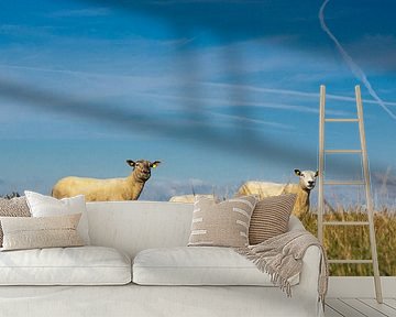 Schapen in Drente. van Benny van de Werfhorst