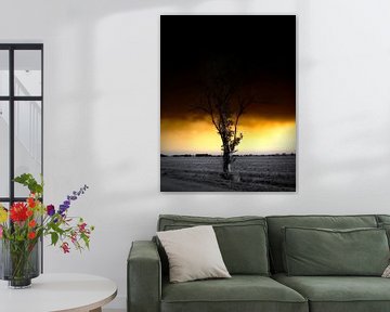 Lonely tree, dramatic sunset. van Nelemonsi Photo Art