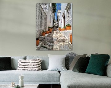 Straatje in Griekenland (Tuinposter?)