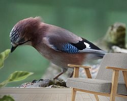 Voorbeeld van het werk in een kamer