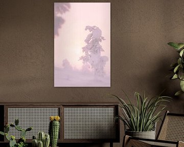 Paysage vierge et blanc en Laponie avec lever de soleil | photographie de voyage | Saariselkä Finlande