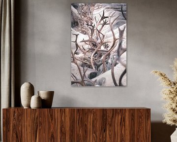 Reindeer chaos | travel photography fine art print | Lapland by Kimberley Jekel