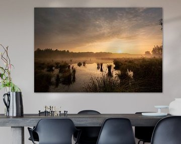 Das Moor bei Blankeveen (Elp, Drenthe) bei Sonnenaufgang von KB Design & Photography (Karen Brouwer)