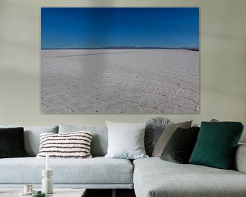 Zoutvlakte van Salinas Grandes in Salta, Noord Argentinië, Zuid-Amerika van WorldWidePhotoWeb