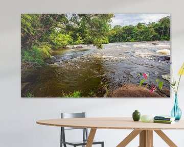 Suriname River at Awaradam by René Holtslag