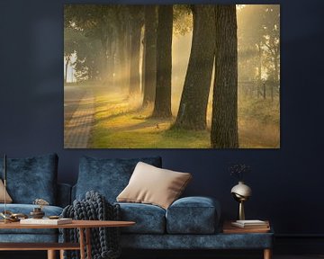 Mooi licht tussen de bomen van KB Design & Photography (Karen Brouwer)