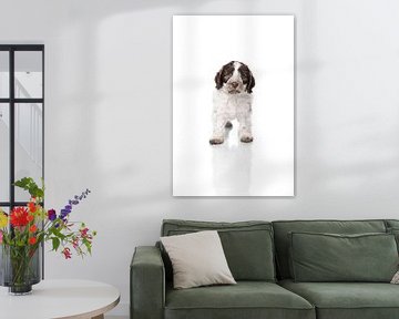 Fotografie hond/puppy wit met spiegelbeeld van Ellen Van Loon