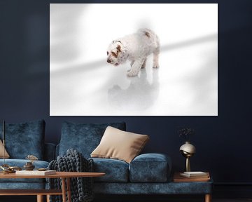 Photographie chien/chiot blanc regardant son reflet sur Ellen Van Loon