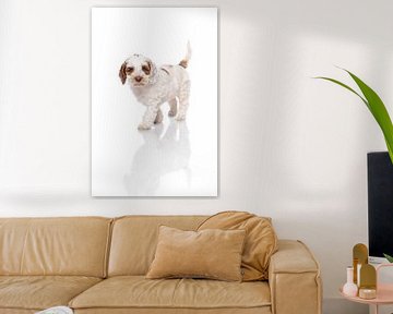 Fotografie hond/puppy wit met spiegelbeeld van Ellen Van Loon