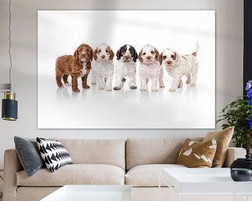 Fotografie honden/puppy's wit met spiegelbeeld. Compositie van meerdere hondjes van Ellen Van Loon