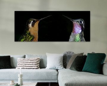 Kolibries van Rik Kruit