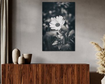 Close-up van tulpen, lelies en rozen in bokeh-effect. Stijlvolle sfeer vol schoonheid en melancholie. van Jakob Baranowski - Photography - Video - Photoshop
