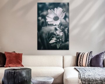 Close-up van tulpen, lelies en rozen in bokeh-effect. Stijlvolle sfeer vol schoonheid en melancholie. van Jakob Baranowski - Photography - Video - Photoshop