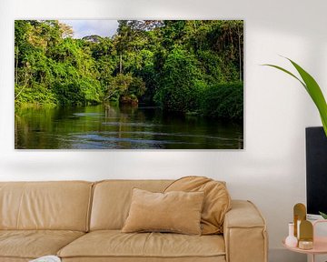 Suriname River at Awaradam by René Holtslag