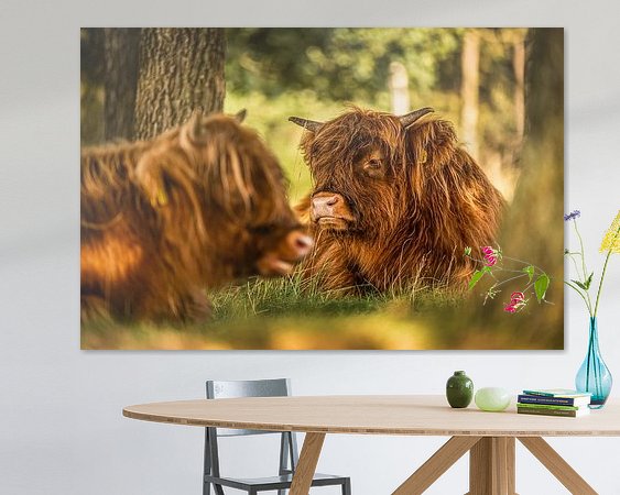 Aperçu de la chambre