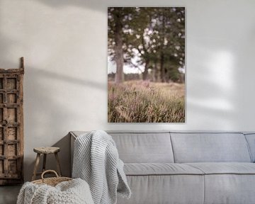 Heide en bomenrij in de Veluwe, Nederland van Lynn Haverhals