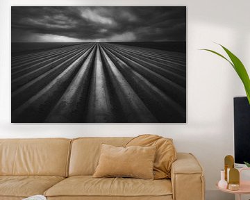 In Flanders Fields by Marie-Anne Stas