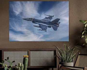 F-16 Fighting Falcon (General Dynamics F-16 Fighting Falcon), België. van Gert Hilbink