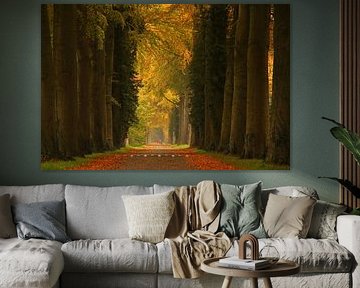 Goldene Herbstallee