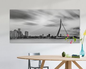 Skyline van Rotterdam in zwart-wit