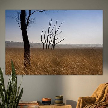 Wahre Kunst in der Natur