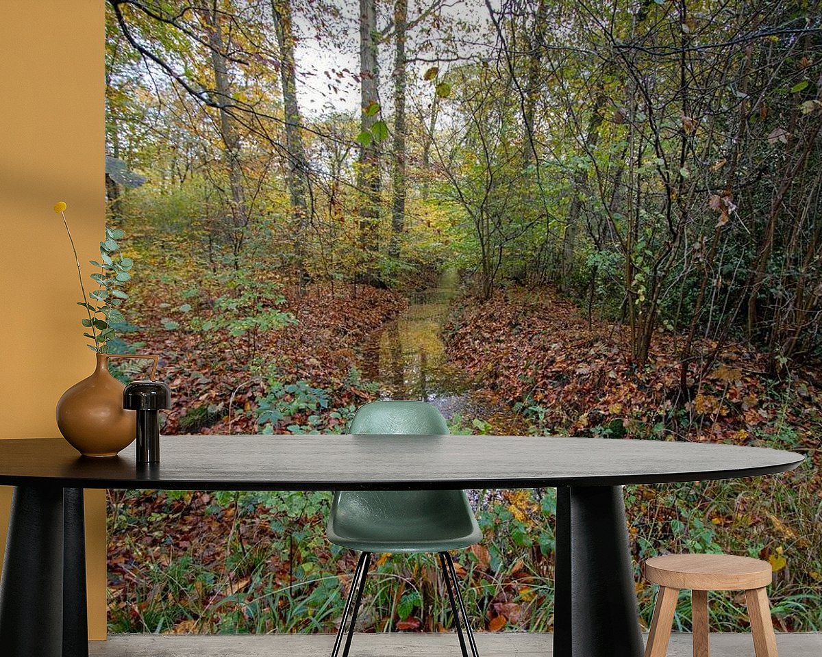Raumvorschau