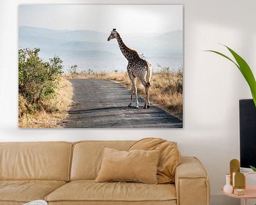Giraffe auf Stelzen: morgendliche Schritte in der südafrikanischen Sonne von Kirsten Dijk