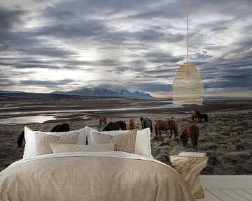 Islandpferde von Ruud van der Lubben