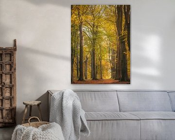 Herbstwald II von Diane van Veen