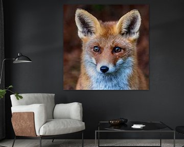 Portrait of a curious fox. by Herwin Jan Steehouwer