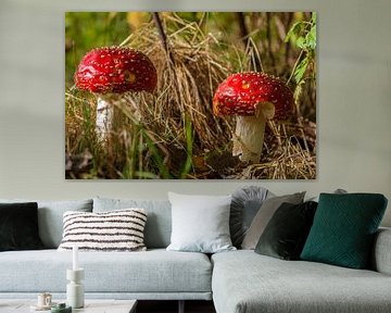 rode paddenstoel in herfstbos